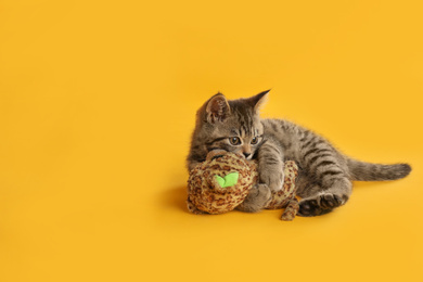 Cute tabby kitten with toy on yellow background, space for text. Baby animal