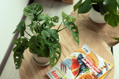Beautiful house plants and magazines on wooden table indoors, above view. Home design idea