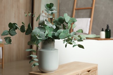 Beautiful eucalyptus branches in vase on wooden cabinet indoors. Interior design