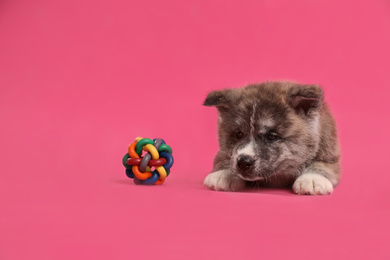Cute Akita inu puppy with toy on pink background. Friendly dog