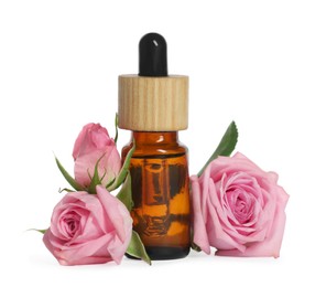 Bottle of essential rose oil and flowers against white background