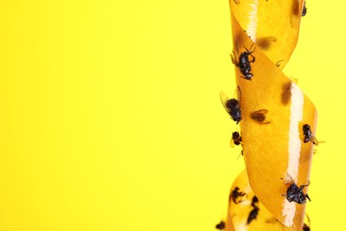 Sticky insect tape with dead flies on yellow background, closeup. Space for text