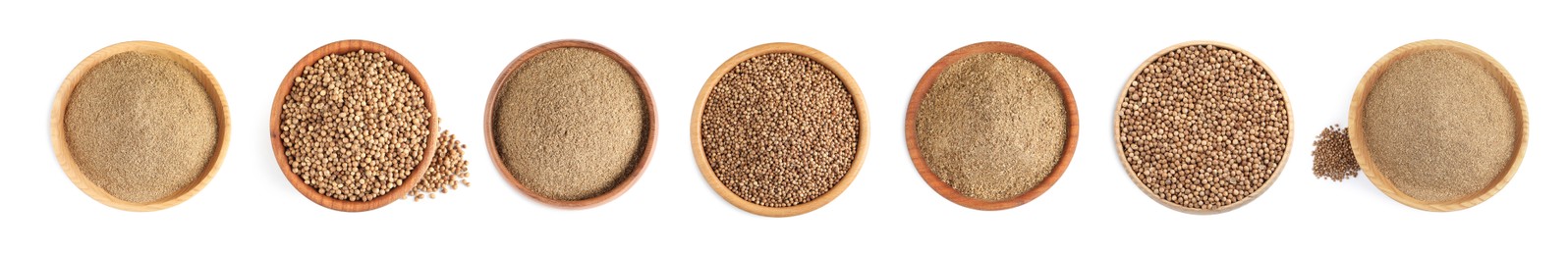 Image of Set with coriander seeds and powder on white background, top view. Banner design