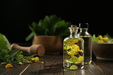 Bottles of celandine tincture and plant on wooden table, space for text