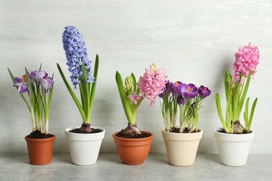 Different flowers in ceramic pots on light grey stone table
