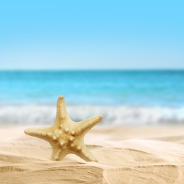 Beautiful sea star on sandy beach near ocean 