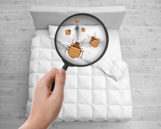 Woman with magnifying glass detecting bed bugs in bedroom, top view