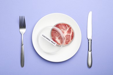 Cultured meat in Petri dish served on pale purple background, flat lay