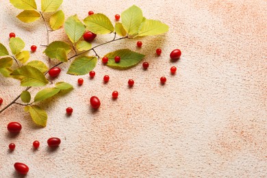 Branch of autumn leaves and red berries on color background, flat lay. Space for text
