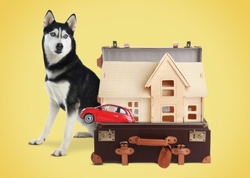 Cute dog near retro suitcase with model of house and miniature car on yellow background