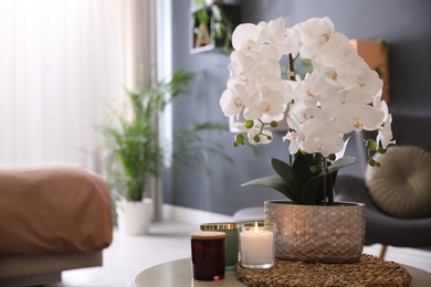 Beautiful white orchids and candles on table in room, space for text. Interior design