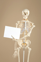 Artificial human skeleton model with blank sheet on beige background. Space for text