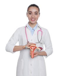 Doctor demonstrating model of female reproductive system on white background. Gynecological care