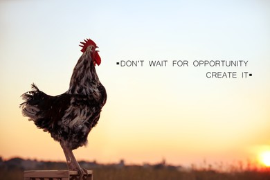 Don't Wait For Opportunity Create It. Inspirational quote motivating to take first step, to be active. Text against view of rooster crowing in morning 
