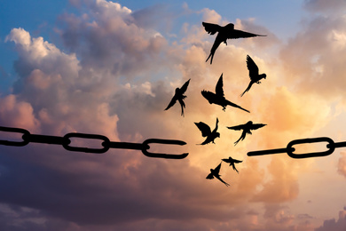 Freedom concept. Silhouettes of broken chain and birds flying in blue sky