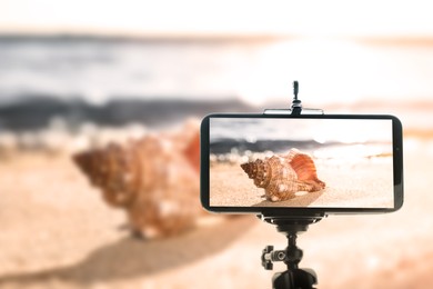 Taking photo of beautiful sea shell with smartphone mounted on tripod