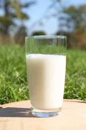 Glass of fresh milk on wooden board outdoors