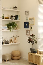 Beautiful green plants and different decor on shelves in room. Interior design