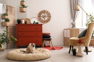 Photo of Adorable cat on pet bed in stylish room interior