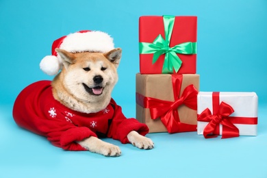 Cute Akita Inu dog in Christmas sweater and Santa hat near gift boxes on blue background