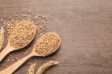 Wheat grains in spoons and spikes on wooden table, flat lay. Space for text