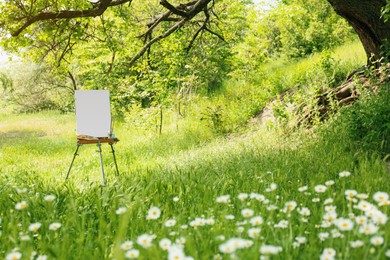Easel with blank canvas and painting equipment in picturesque countryside