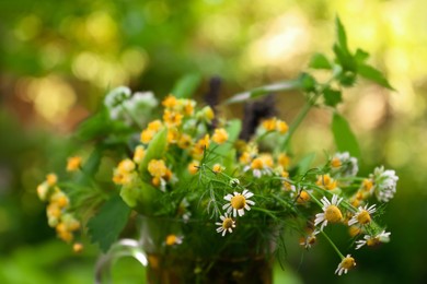 Photo of Bouquet of different fresh herbs on blurred background, closeup