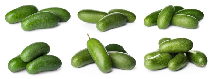 Set with fresh seedless avocados on white background. Banner design