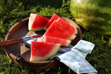 Tasty ripe watermelons on green grass outdoors
