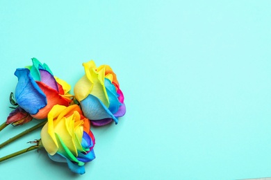Rainbow rose flowers on color background, top view