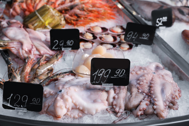 Photo of Fresh squids and other seafood on ice in supermarket