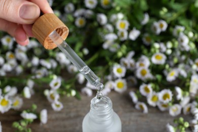 Woman pouring chamomile essential oil from pipette into bottle on table, closeup. Space for text