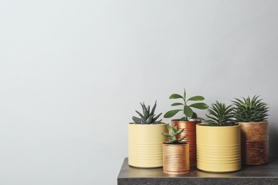 Photo of Beautiful houseplants in tin cans on grey stone table. Space for text