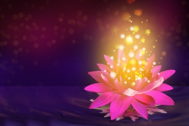 Fantastic lotus flower with sparks on water surface, bokeh effect