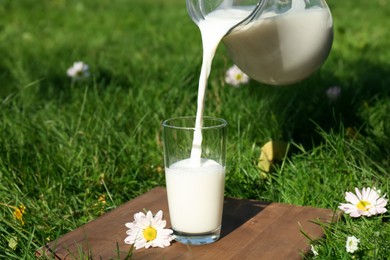 Pouring tasty fresh milk from jug into glass on green grass outdoors