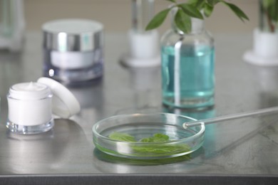 Glass tubes, containers and petri dish with leaves on metal table indoors