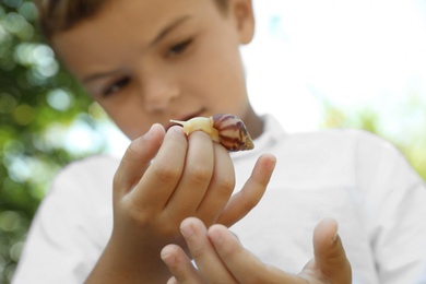 Photo of Boy playing with cute snail outdoors, focus on hand. Child spending time in nature