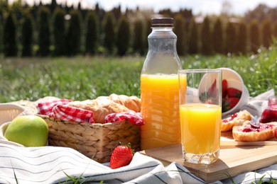 Fresh juice and different products on blanket outdoors. Summer picnic