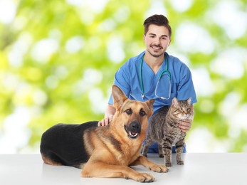 Veterinarian doc with dog and cat against blurred green background