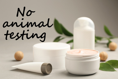 Cosmetic products and text NO ANIMAL TESTING on grey background
