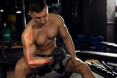 Image of Digital composite of highlighted bones and man working out with dumbbell in gym