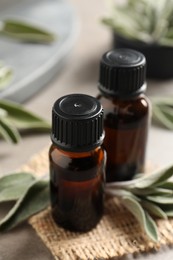 Bottles of essential sage oil, twigs and leaves on light grey table, closeup