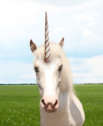 Amazing unicorn with beautiful mane in field 