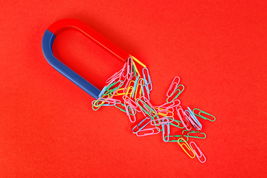 Magnet attracting paper clips on red background, flat lay