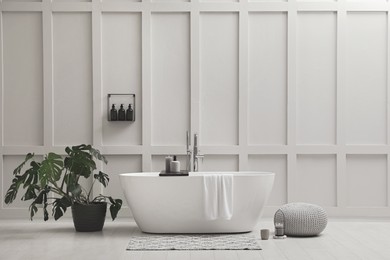 Modern ceramic bathtub and green plant near white wall indoors