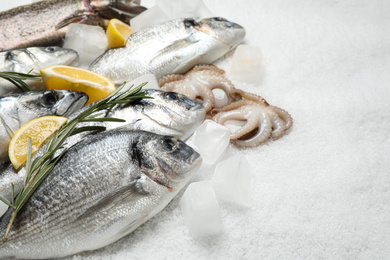 Fresh fish and seafood on ice, closeup