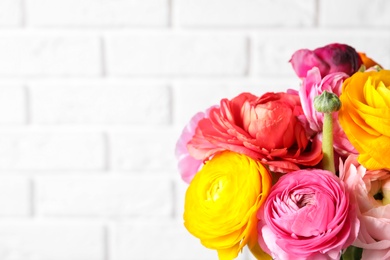 Beautiful ranunculus flowers against white brick wall, closeup. Space for text