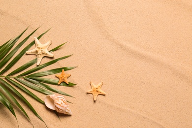 Palm leaf, starfishes, seashell and space for text on beach sand, flat lay. Summer vacation