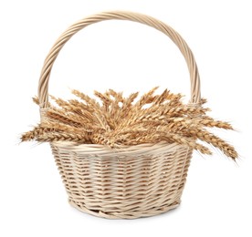 Wicker basket with ears of wheat on white background