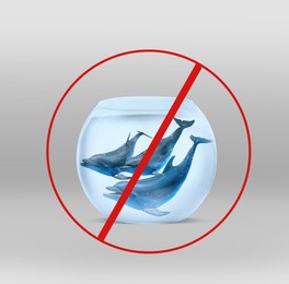 Dolphins in glass aquarium and red prohibition sign on light grey background. Anti-Captivity Campaign